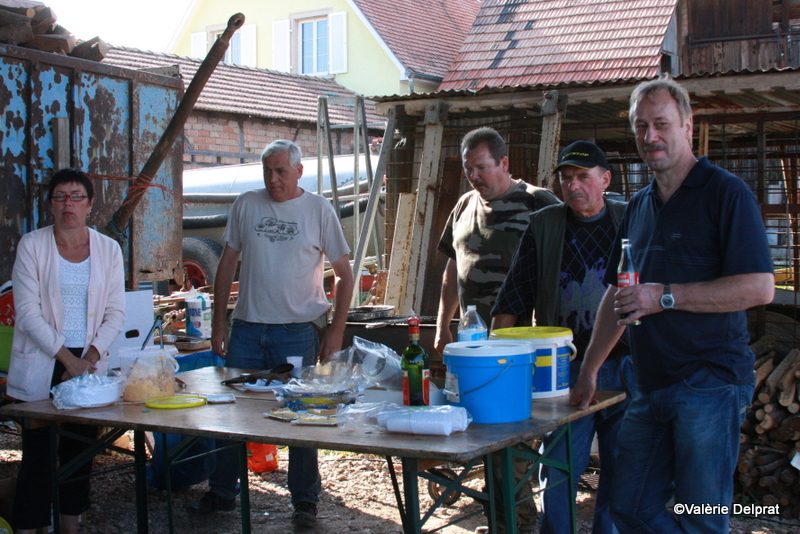 Field Erstein 09 (100).JPG